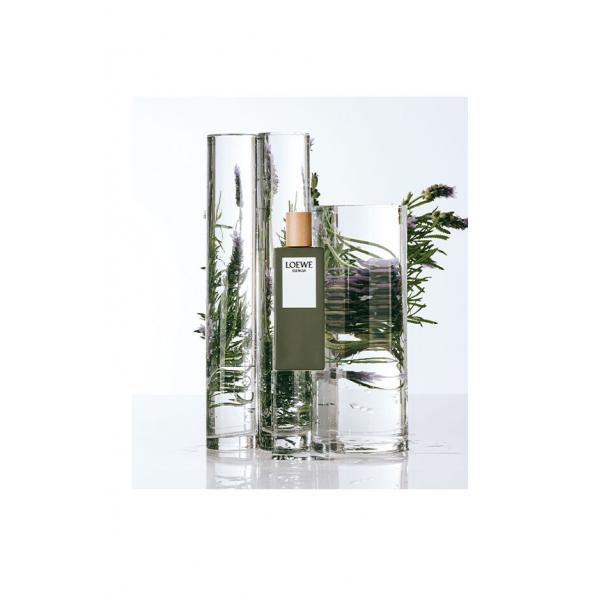 Loewe Esencia Homme et 150 Vap 