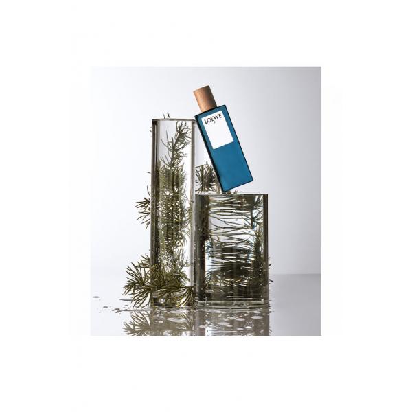 Loewe 7 Edt Spray 100ml