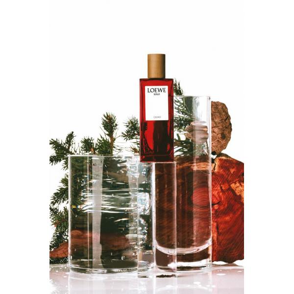 Solo Loewe Cedro Eau De Toilette Spray 100ml