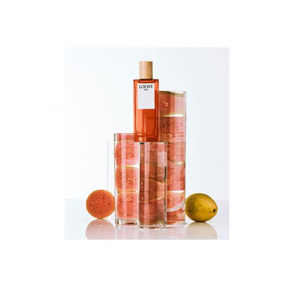 Solo Loewe Edt Spray 150ml 