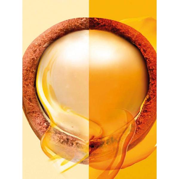 Garnier Fructis Hair Food Coco Smoothing Mask 390ml