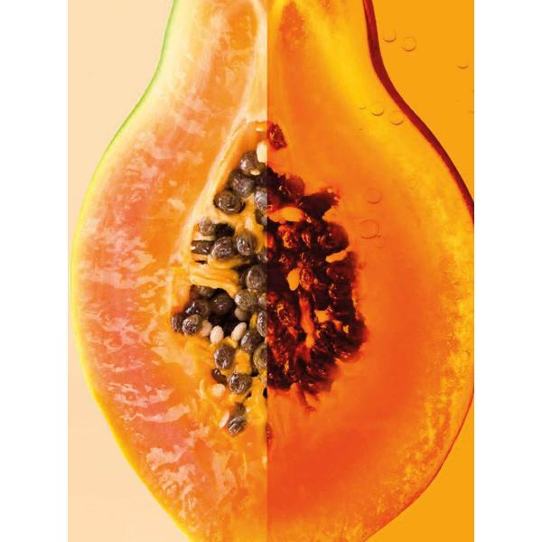 Garnier Fructis Hair Food Papaya Repair Shampoo 350ml