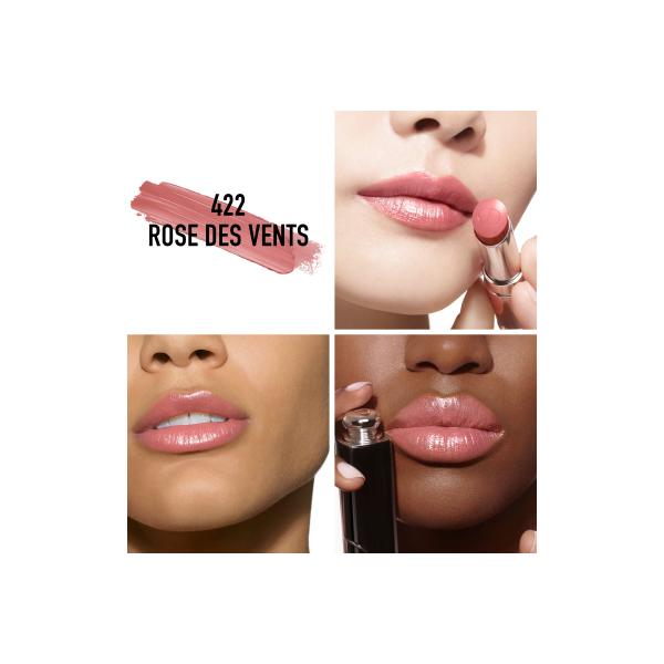 Dior Addict Shine Lipstick 422 Rose Des Vents