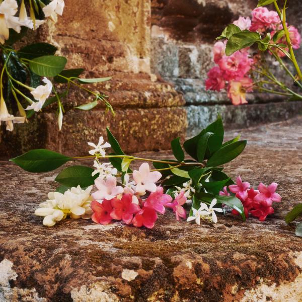 Profumo Donna Gucci Bloom EDT