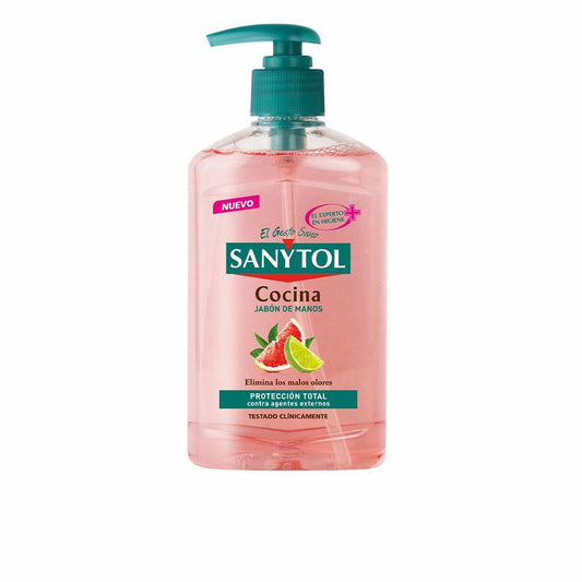 Sanytol Antibacterias Antibacterial Hand Soap for the Kitchen Effective Hygiene in the Kitchen