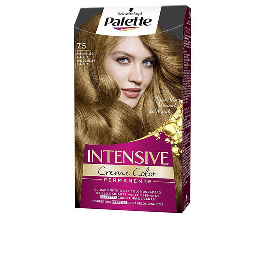 Palette Intensive Coloration Permanente Couverture Parfaite des Cheveux Gris
