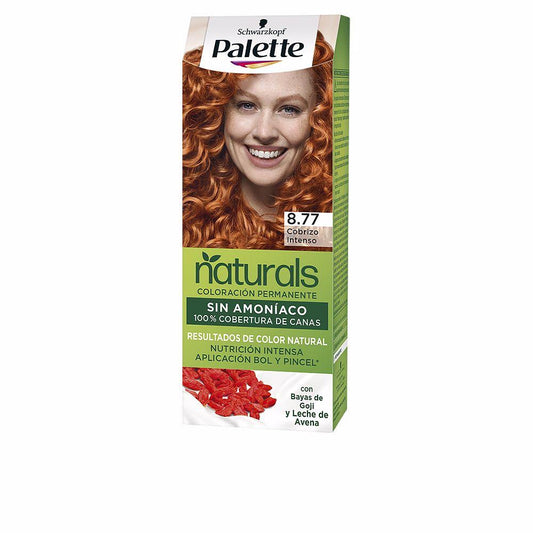 Palette Naturals Tintura Permanente Per Capelli Blue Blacks Colori Naturali Duraturi