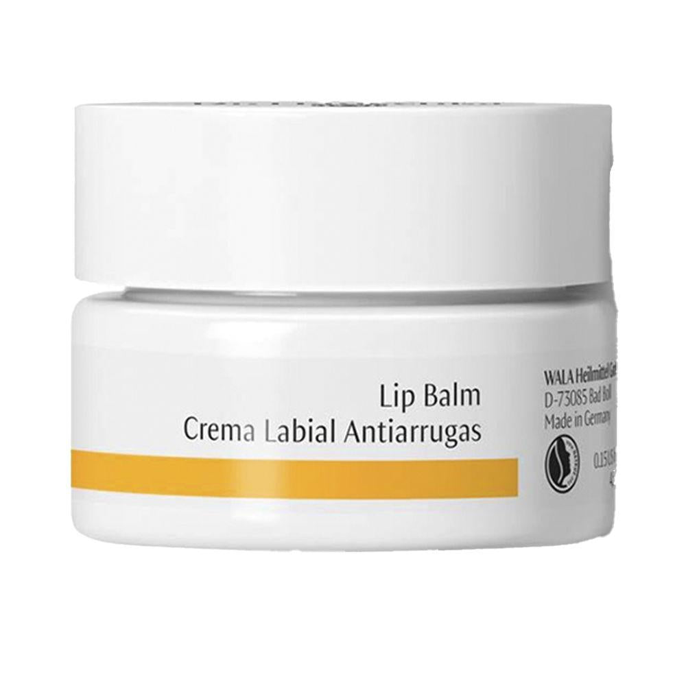Dr Hauschka Lip Balm Crema Labbra Anti Rughe Labbra Morbide E Ringiovanite